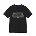 PRE ORDER - Custom Class of ____ Cheer Alumni Shirt (front & back)